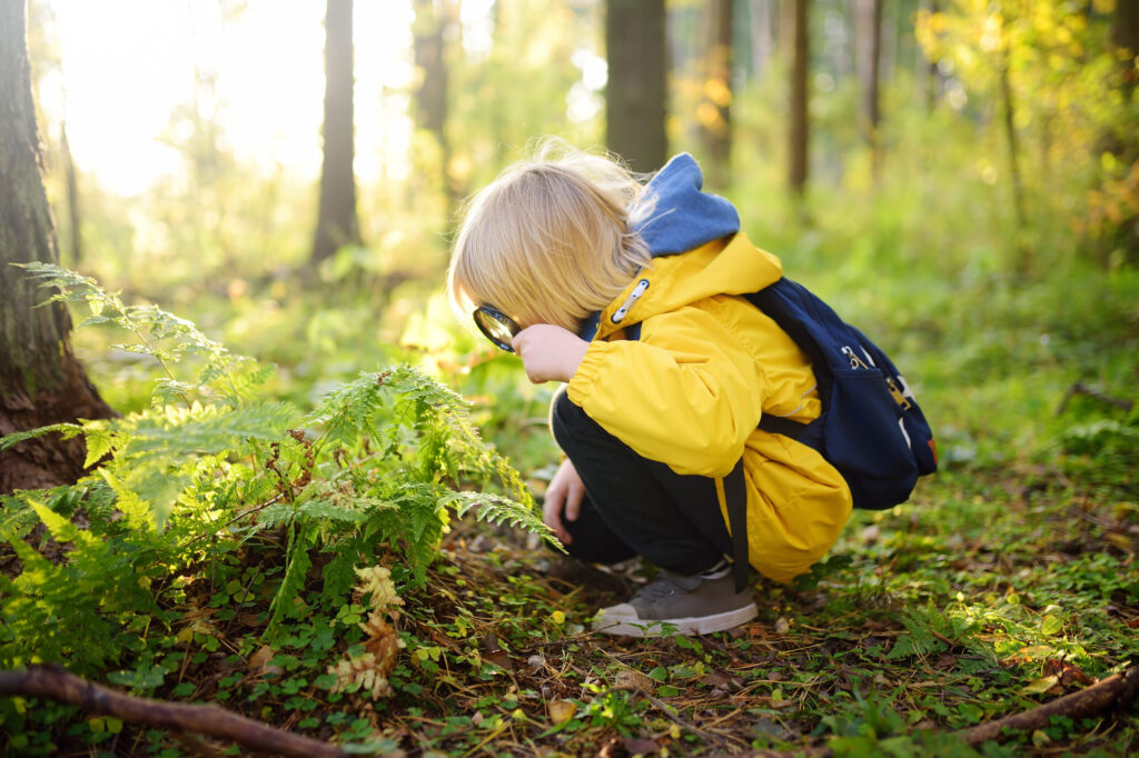 Preschooler boy exploring nature with magnifying glass